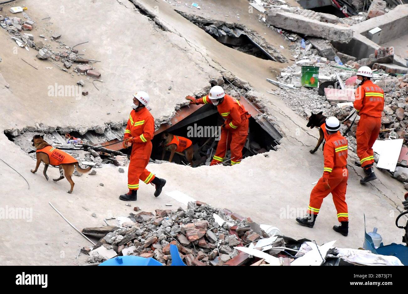 Quanzhou, Cina. 12 marzo 2020. Il cane sniffer Beibei aiuta a trovare tutte le persone intrappolate nel crollato hotel a Quanzhou, Fujian, Cina il 12 marzo 2020. (Photo By Top Photo/Sipa Usa) Credit: Sipa Usa/Alamy Live News Foto Stock