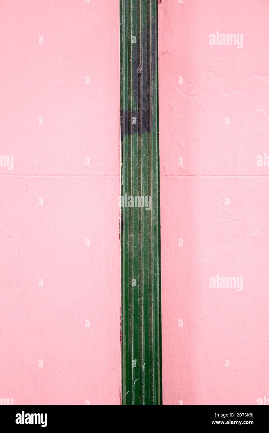 cactus in città verde e rosa pastello Foto Stock