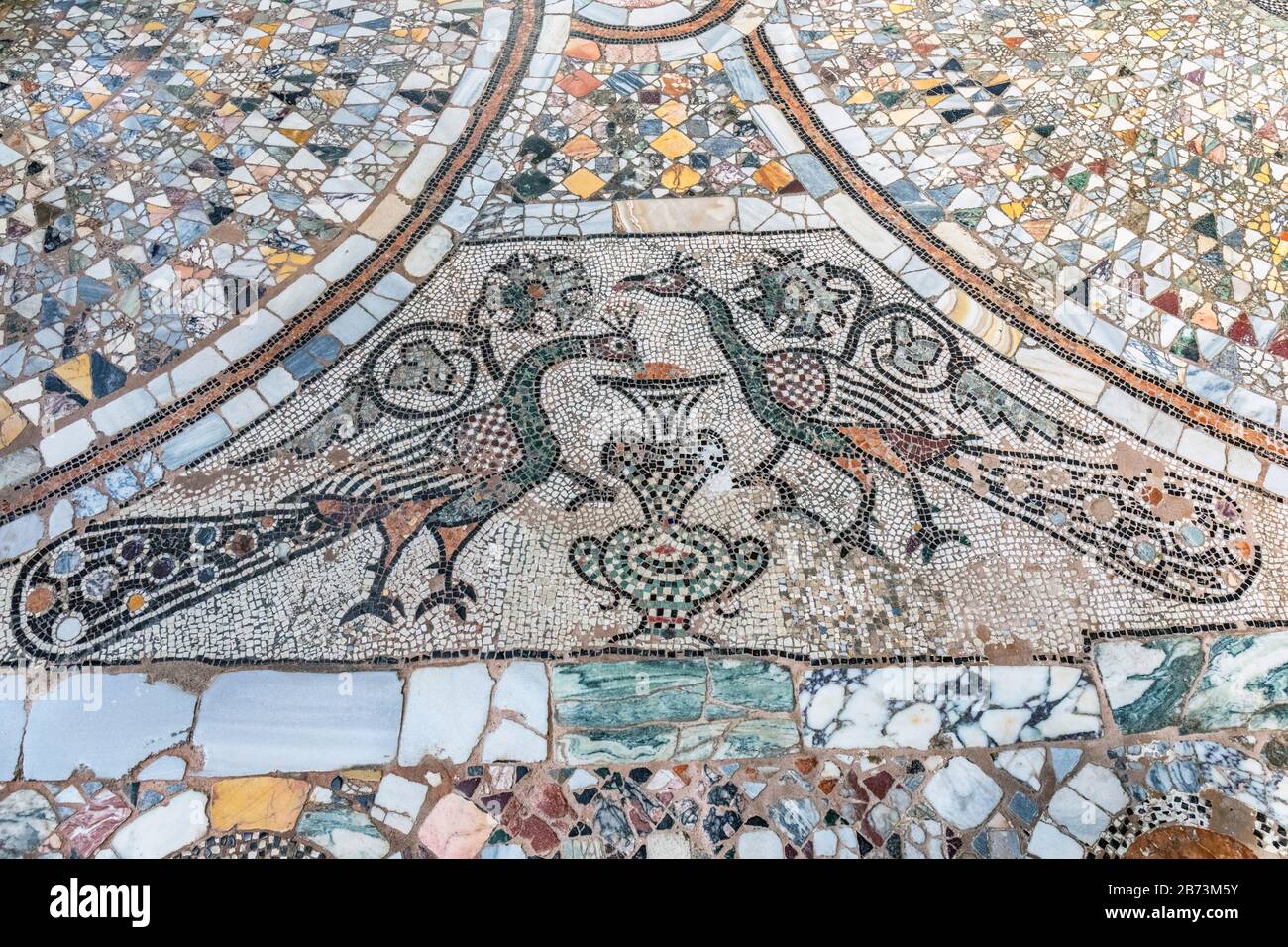 Chiesa Di Santa Maria E San Donato, Murano, Provincia Di Venezia, Italia. mosaico del xii secolo che mostra un paio di pavoni che mangiano da un calice. In Chris Foto Stock