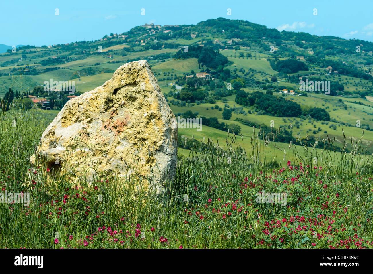 Una roccia circondata da erba e fiori selvatici con la campagna toscana sullo sfondo vicino a Volterra, Toscana, Italia, in un sole giornata di maggio. Foto Stock