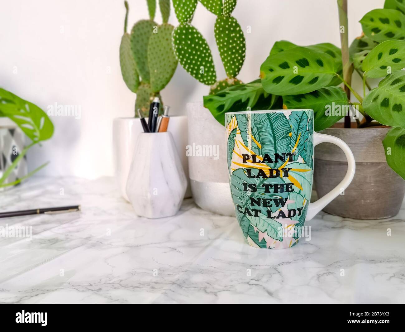 Tazza di ceramica con citazione divertente che confronta la gente addicted della pianta alle Signore pazzesche del gatto, su una scrivania Foto Stock