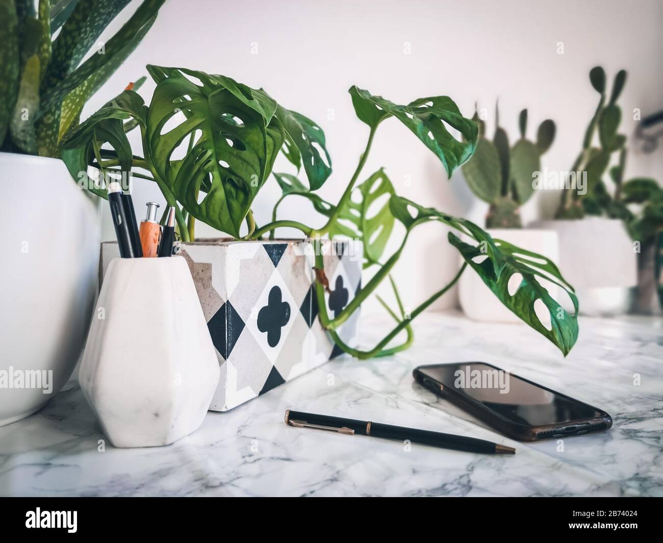 Scrivania bianca e pulita con numerose piante verdi per un ambiente di lavoro rilassante e senza stress Foto Stock