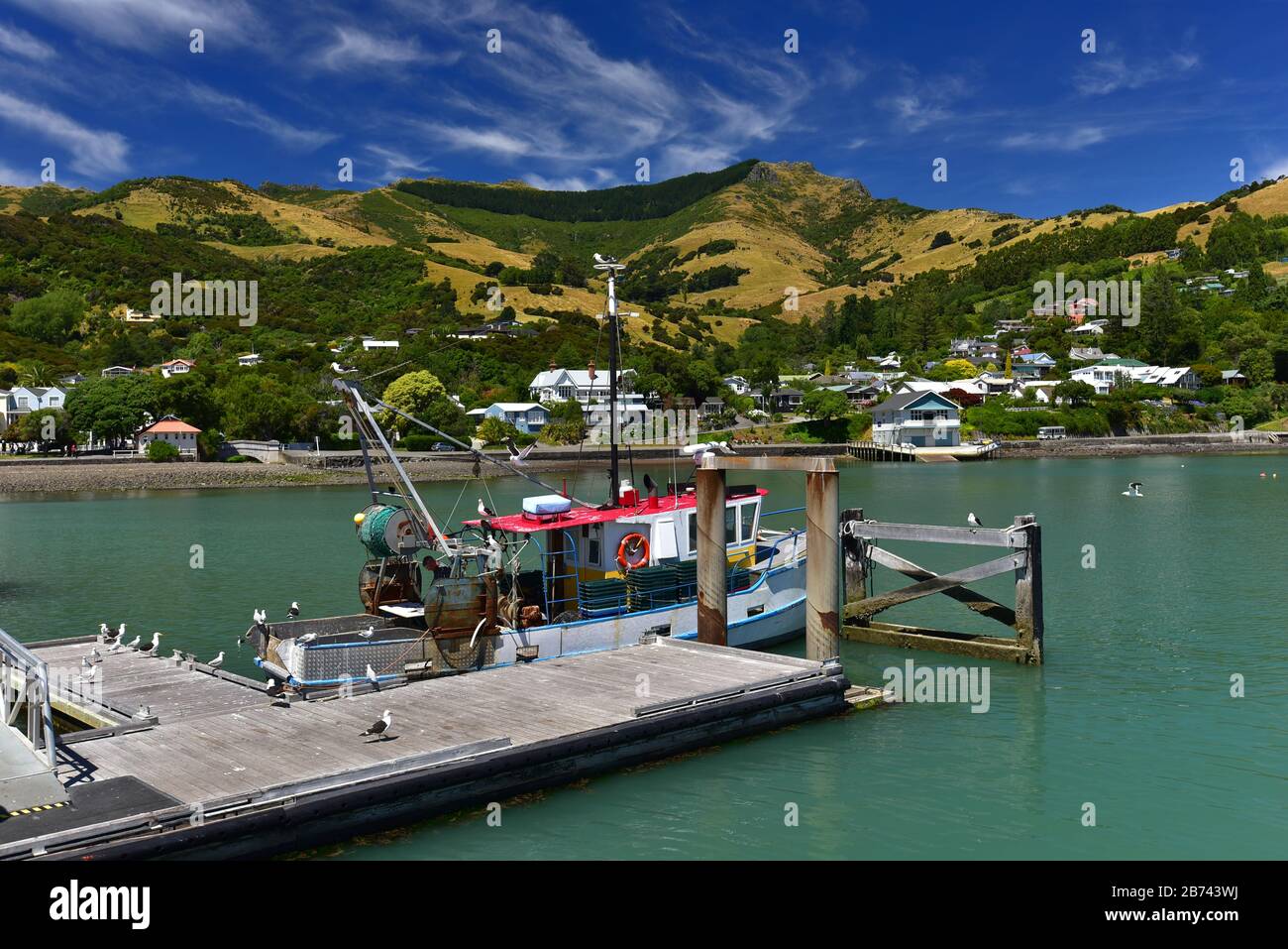 Porto di Akaroa, una piccola città nella regione di Canterbury, Isola del Sud, Nuova Zelanda Foto Stock