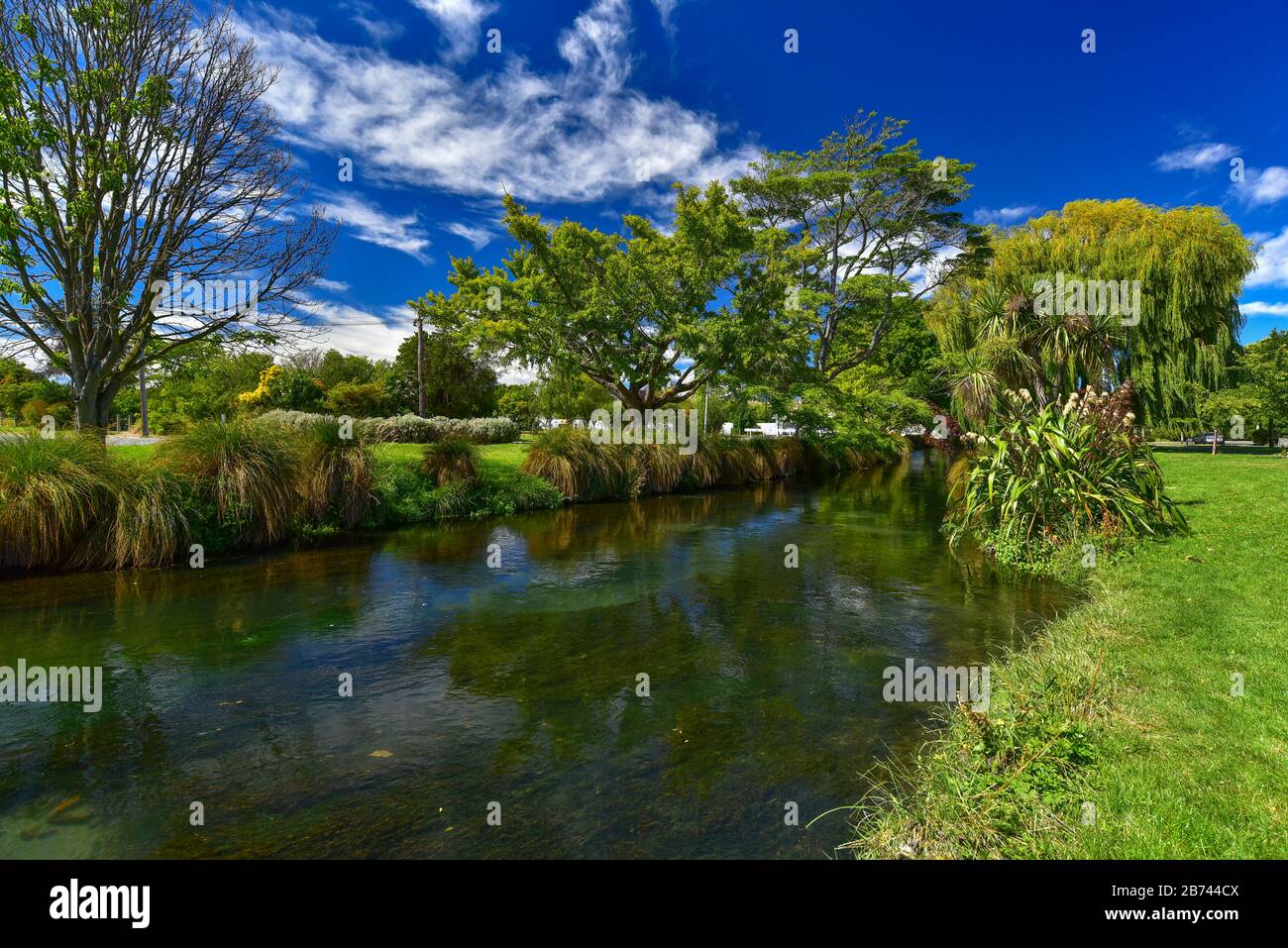 Willow Trees di Avon River a Christchurch, Nuova Zelanda Foto Stock