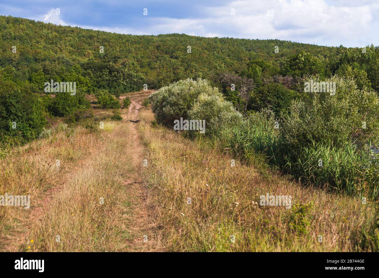 Strada rurale vuota, paesaggio Crimea in estate Foto Stock