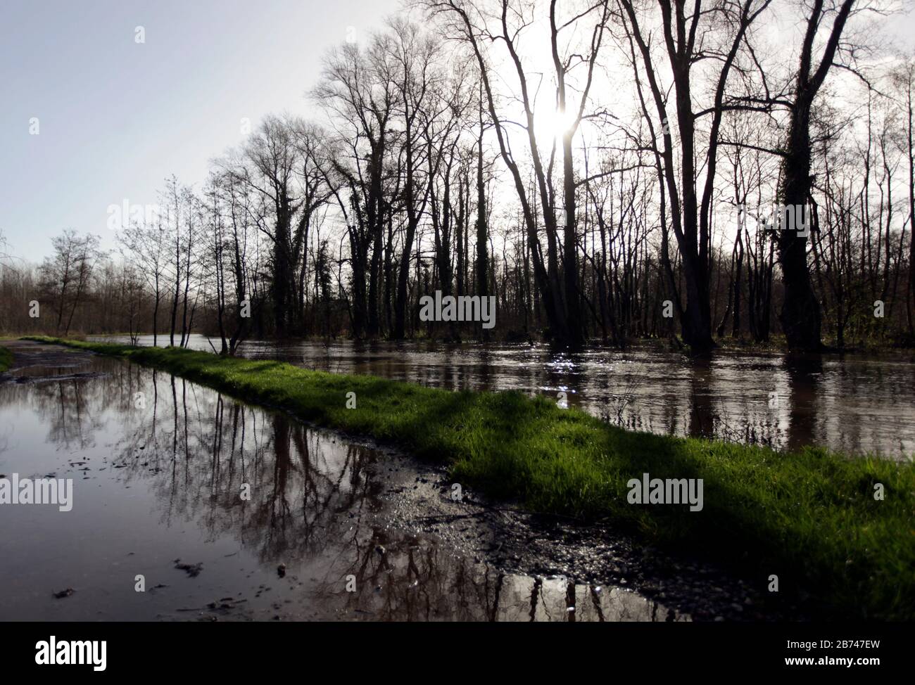 12 marzo 2020. Fiume Canche vicino Montreuil sur Mer, Pas de Calais, Francia. Dopo mesi di precipitazioni record, il fiume Canche vicino Montreuil sur M. Foto Stock