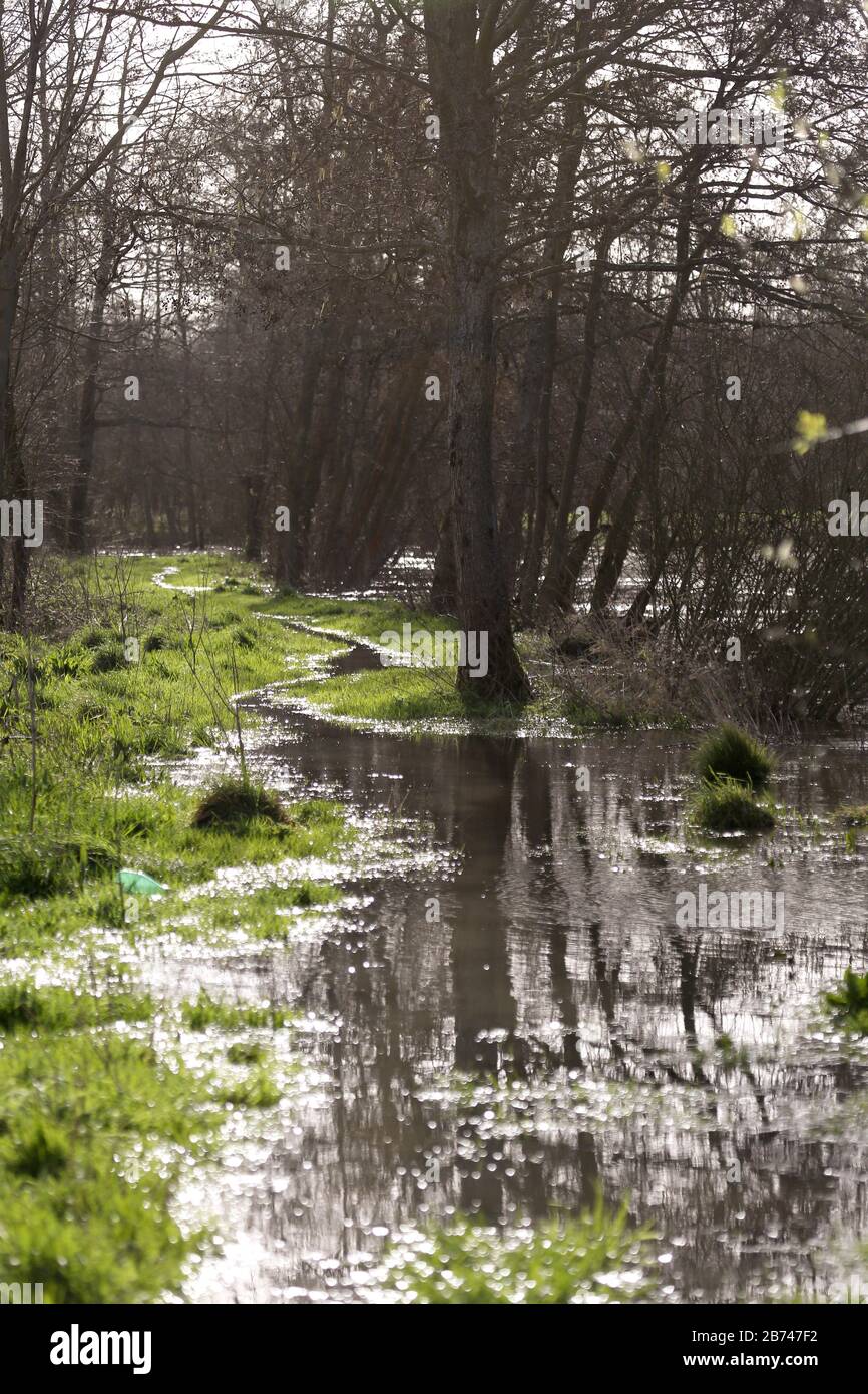 12 marzo 2020. Fiume Canche vicino Montreuil sur Mer, Pas de Calais, Francia. Dopo mesi di precipitazioni record, il fiume Canche vicino Montreuil sur M. Foto Stock