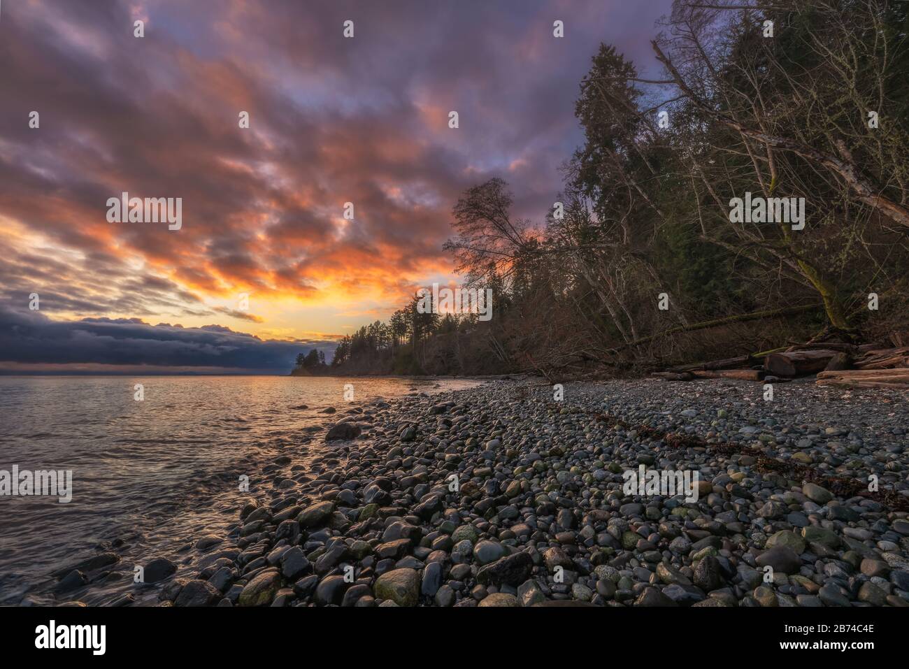 Seal Bay nella Comox Valley sull'isola di Vancouver, British Columbia, Canada. Foto Stock