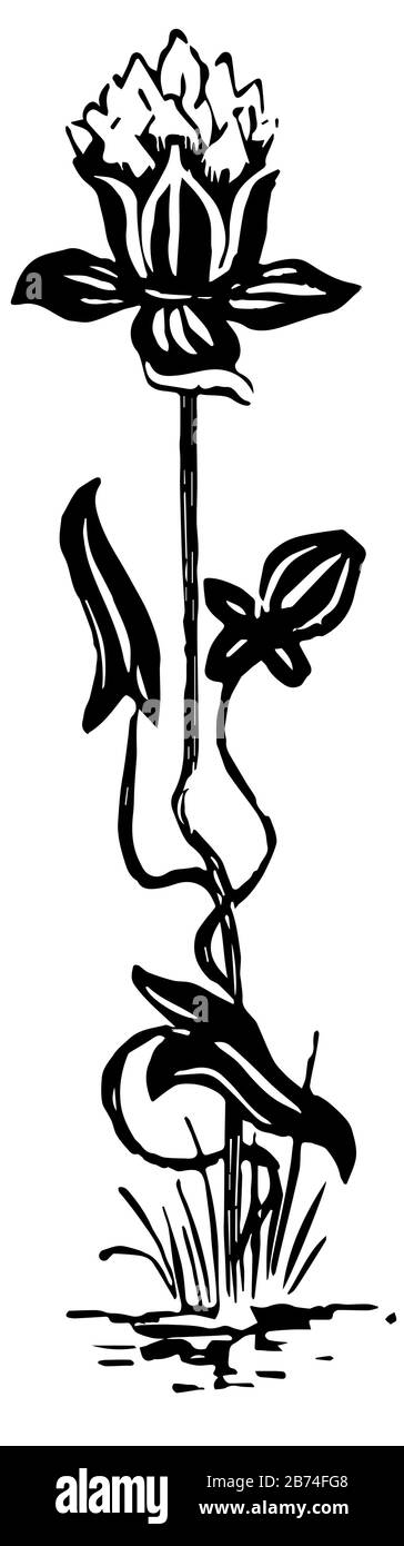 Fiore art Nouveau è uno stile internazionale di arte, vintage linea disegno o incisione illustrazione. Illustrazione Vettoriale