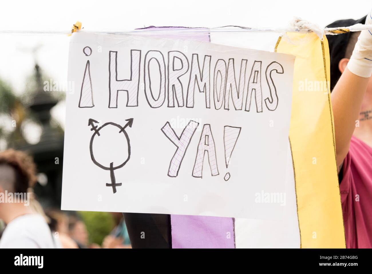 CABA, Buenos Aires / Argentina; 9 marzo 2020: Giornata internazionale delle donne. Bandiera di orgoglio non binaria e poster che rivendica trattamenti ormonali Foto Stock