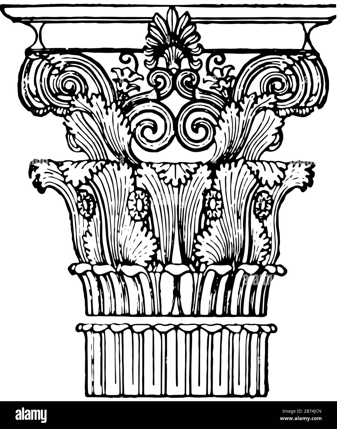 Capitale greca, Corinzia, la città greca, stato di Corinto, creato dallo scultore Callimachus, ha disegnato foglie di acanto in crescita, disegno linea vintage Illustrazione Vettoriale