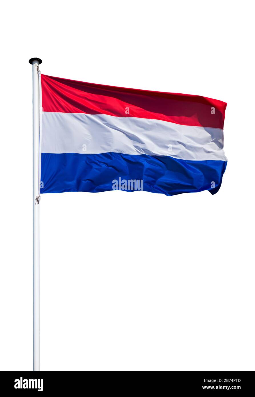 Bandiera olandese dei Paesi Bassi sul flagpole che vola al vento su sfondo bianco Foto Stock