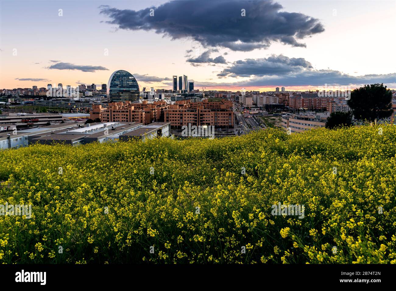 Madrid, Spagna - 7 marzo 2020: Vista panoramica dello skyline di Madrid dalla collina ricoperta di fiori gialli al tramonto in primavera, con i raggi o Foto Stock
