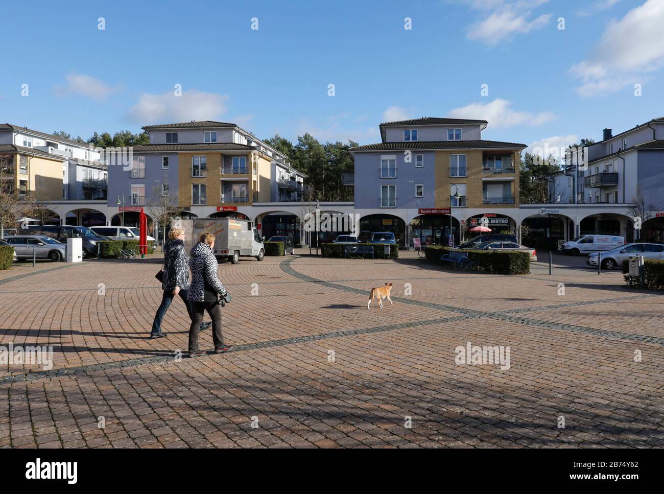 Mercato di Gruenheide, Brandeburgo. Il progetto Tesla Gigafactory 4 verrà costruito nel distretto di Freienbrink. Il sito si trova in una zona industriale all'uscita Freienbrink dell'autostrada A10. Tesla vuole produrre 500,000 auto all'anno a Gruenheide. Per la prima fase di costruzione, 90 ettari di foresta devono essere eliminati. Gli ambientalisti criticano la deforestazione e il consumo di acqua da parte della fabbrica. [traduzione automatica] Foto Stock