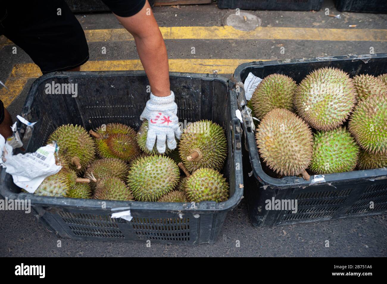 24.02.2019, Singapore, Repubblica di Singapore, Asia - UN lavoratore smista le casse di durian fresco in uno stand di vendita a Chinatown. [traduzione automatica] Foto Stock