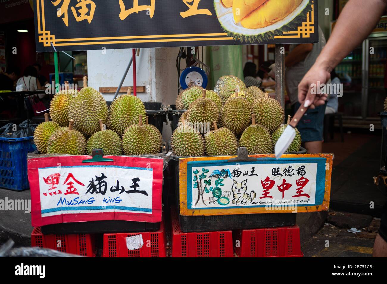 24.02.2019, Singapore, Repubblica di Singapore, Asia - Stand di vendita con Durians fresco in un mercato di strada a Chinatown. [traduzione automatica] Foto Stock