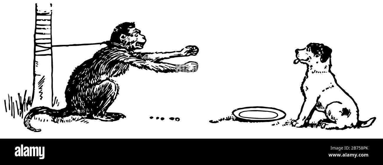La scimmia legata al bastone di legno con corda e guardando il cane con rabbia che ha mangiato il suo cibo, piatto a terra, vintage linea di disegno o incisione illustrazione Illustrazione Vettoriale