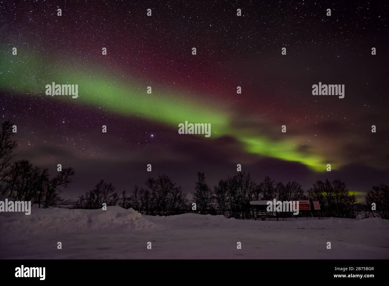 L'aurora boreale nella parte settentrionale della Svezia Foto Stock