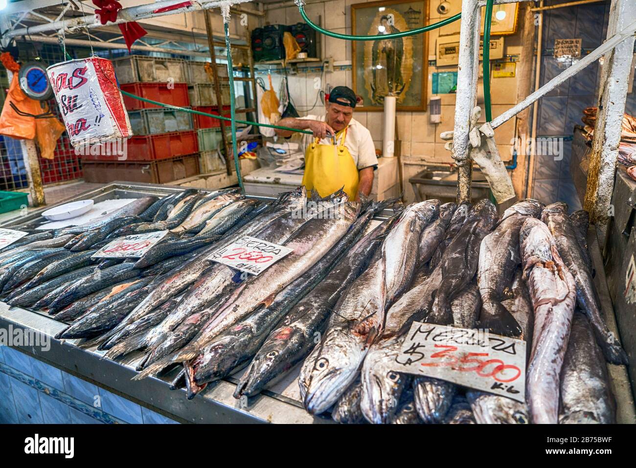 Cile, Santiago, 06.11.2017. Approvvigionamento di pesce nel mercato centrale di Santiago il 06.11.2017. [traduzione automatica] Foto Stock