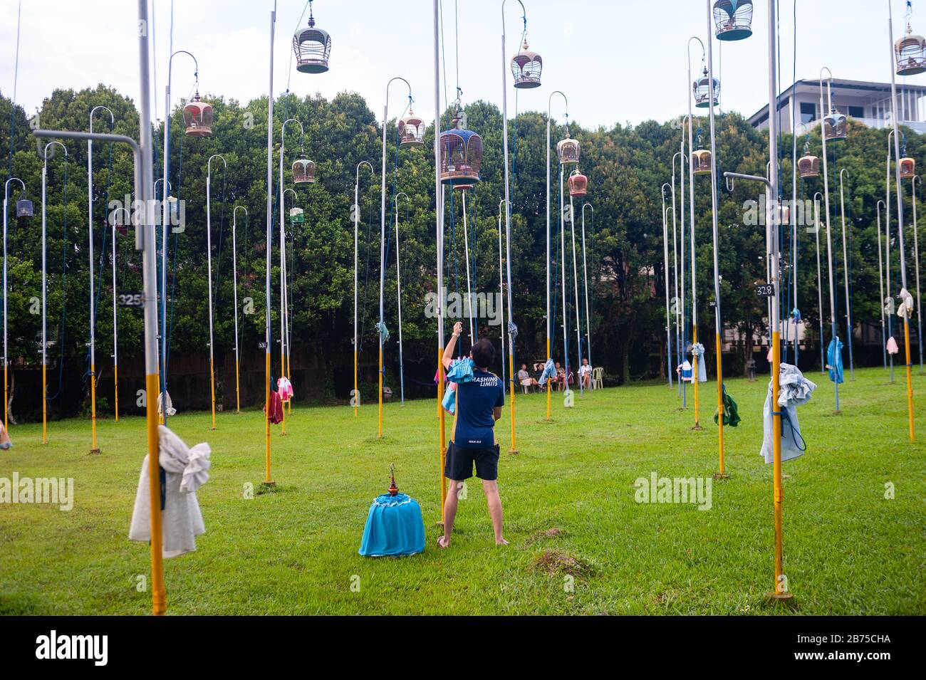 02.12.2018, Singapore, Repubblica di Singapore, Asia - un amante degli uccelli appende uno dei suoi birdgages su un flagpole al Kebun Baru Bird Corner in Ang Mo Kio Town Garden West. [traduzione automatica] Foto Stock