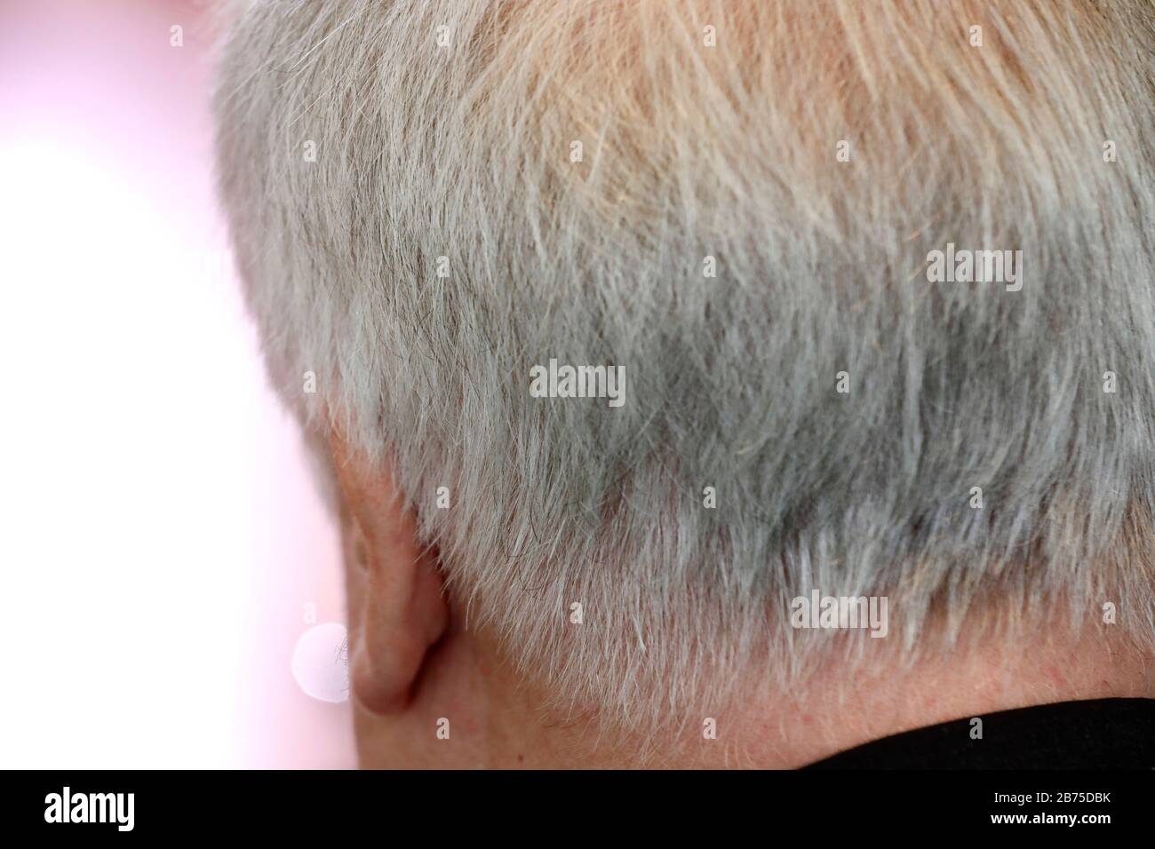 Ritratto di Horst Seehofer, prima dell'inizio di una riunione di gabinetto nella Cancelleria. [traduzione automatica] Foto Stock