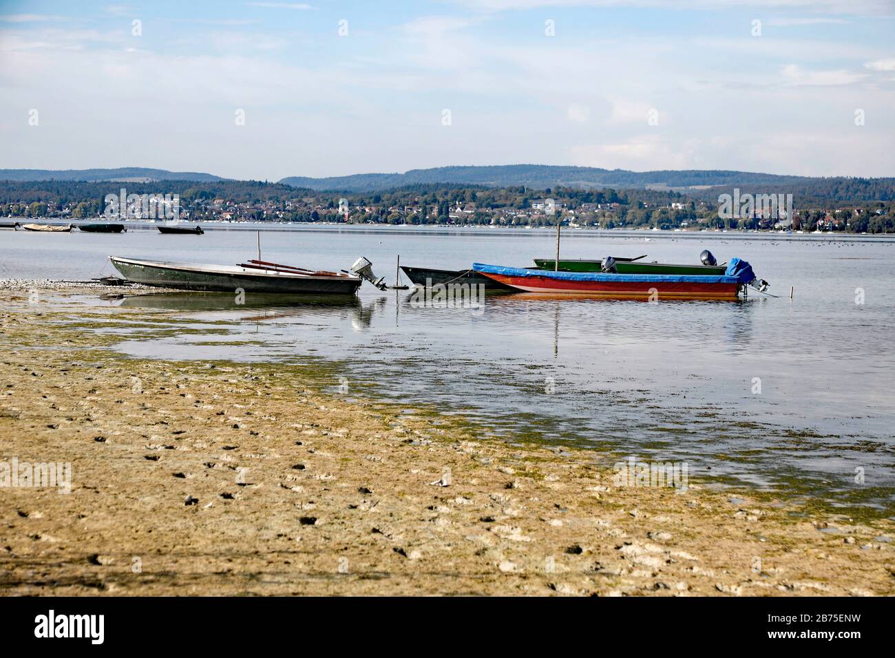 Dopo un'estate con poca pioggia, il livello dell'acqua sulla riva dell'isola di Reichenau sul lago di Costanza è sceso, il 18.09.2018. [traduzione automatica] Foto Stock