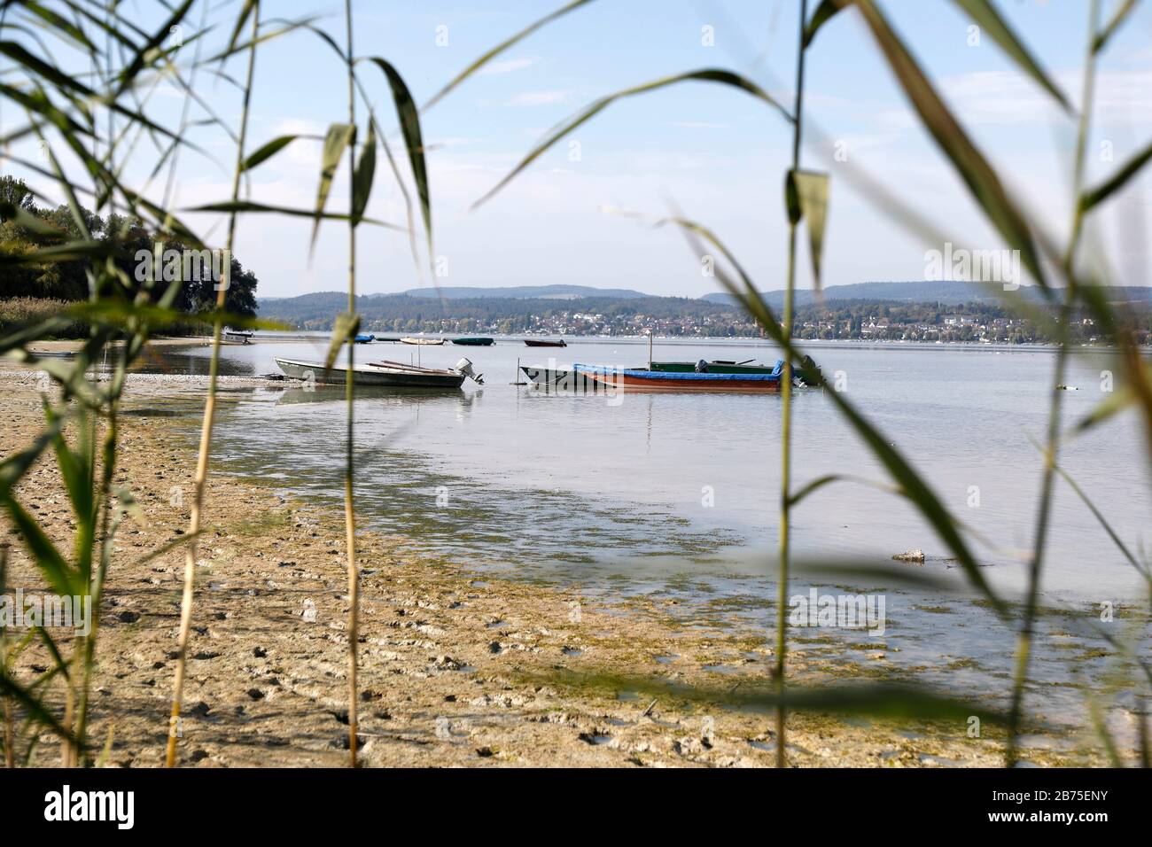 Dopo un'estate con poca pioggia, il livello dell'acqua sulla riva dell'isola di Reichenau sul lago di Costanza è sceso, il 18.09.2018. [traduzione automatica] Foto Stock