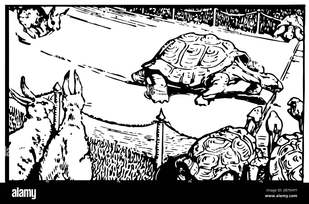 Aesop's Fables, The Hare e The Tartoise, questa scena mostra tartaruga attraversa il traguardo davanti alla lepre e vince la gara, linea d'epoca disegno Illustrazione Vettoriale