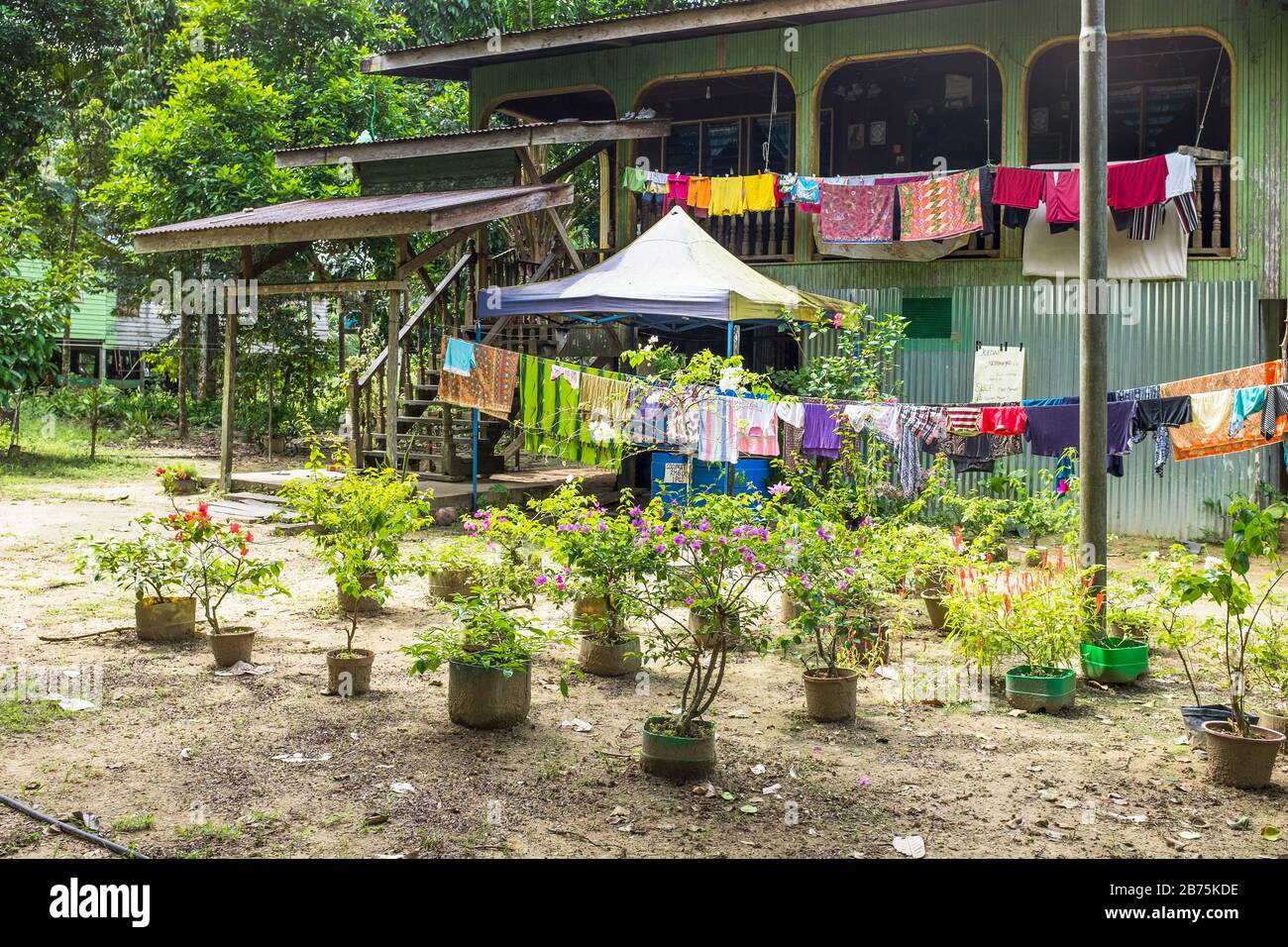 Casa tradizionale e comune a palafitte utilizzata dagli abitanti della foresta pluviale in Borneo, Malesia, Asia Foto Stock