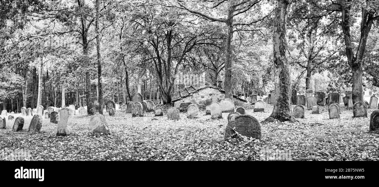 In una foresta vicino Kleinbardorf in bassa Franconia è il secondo cimitero ebraico più grande della Baviera. Il cimitero, disposto nel 16 ° secolo, è stato devastato più volte, i nomi dei defunti sono stati scolpiti dalle pietre dai socialisti nazionali. [traduzione automatica] Foto Stock
