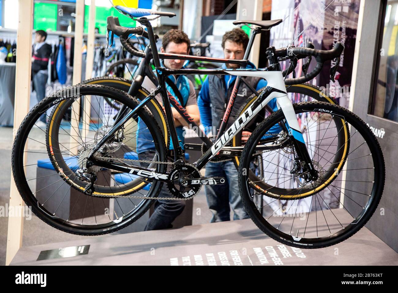 I visitatori del Salone delle biciclette di Berlino guarderanno una bicicletta del marchio "Gigante" durante il Salone delle biciclette di Berlino il 19 marzo 2016. La fiera commerciale e pubblica Berliner Fahrradschau mostra le ultime tendenze della cultura della bicicletta. [traduzione automatica] Foto Stock