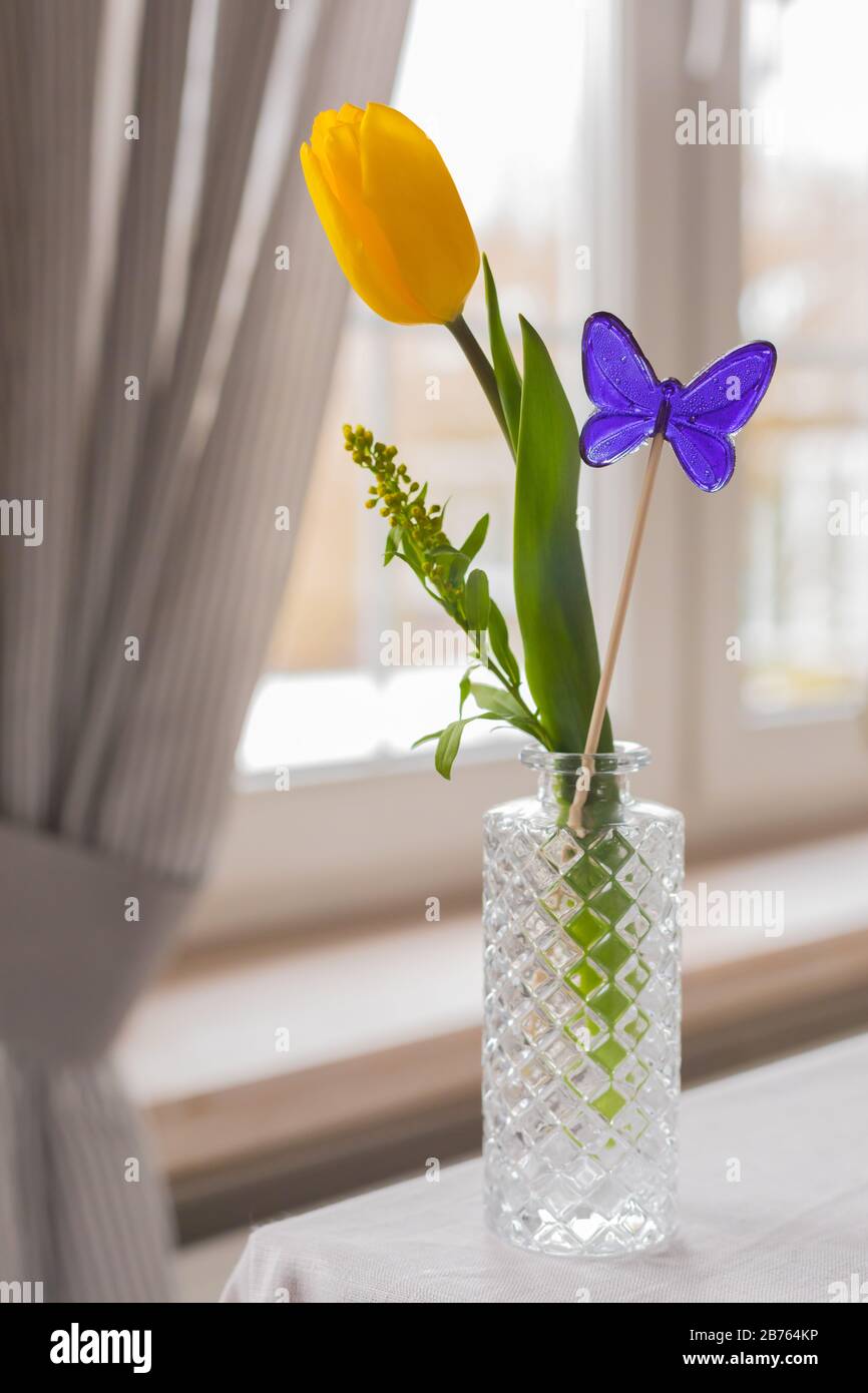 Composizione primaverile con tulipani freschi gialli e caramelle a forma di farfalla viola in vasi di vetro sul davanzale, 8 marzo, Pasqua, Madre e Wome Foto Stock