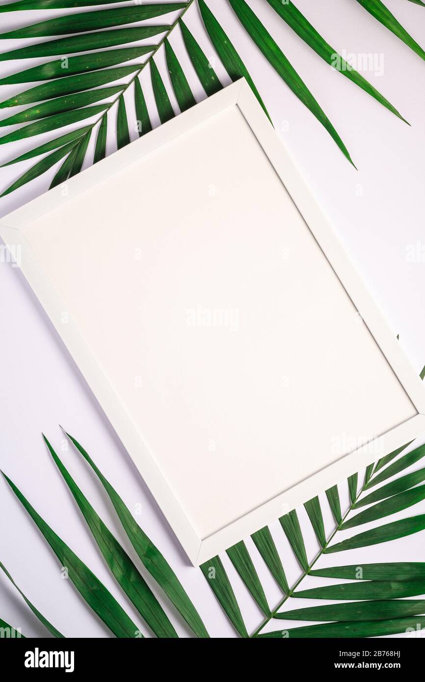 Cornice bianca con template vuoto su foglie di palma, sfondo bianco, carta mockup Foto Stock