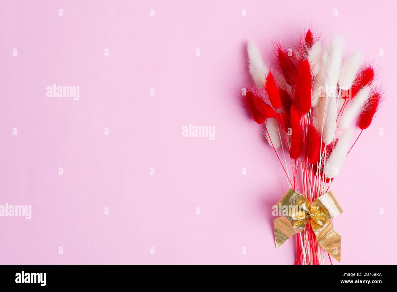 Carta di congratulazioni con fiori rossi e bianchi morbidi asciutti Lagurus Ovatus o Rabbit Tail Grass su sfondo rosa pastello, spazio copia. Foto Stock