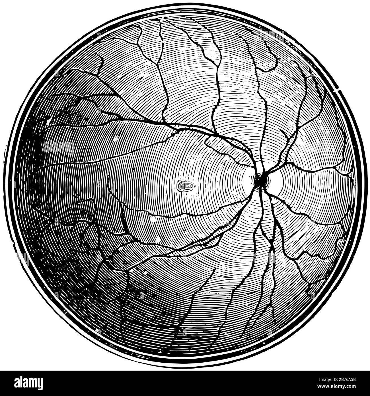 Questa illustrazione rappresenta Retina Blind Spot, disegno a linea vintage o illustrazione dell'incisione. Illustrazione Vettoriale
