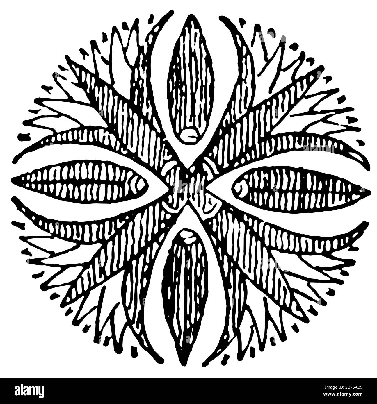 Lotus Flower Rosette sono ornamenti è costruito con quattro stilizzati, linea d'epoca disegno o incisione illustrazione. Illustrazione Vettoriale