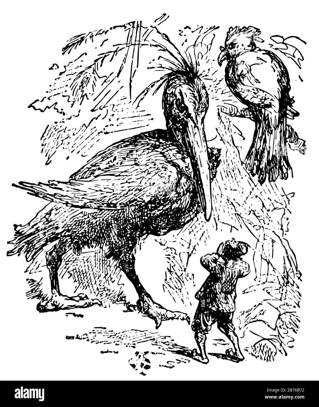 Uccelli giganti, questa scena mostra un uccello gigante guardando un uomo, un uccello su ramo di albero dietro l'uccello gigante, vintage linea disegno o incisione illustrat Illustrazione Vettoriale Uccelli giganti, questa scena mostra un uccello gigante guardando un uomo, un uccello su ramo di albero dietro l'uccello gigante, vintage linea disegno o incisione illustrat Illustrazione Vettoriale
