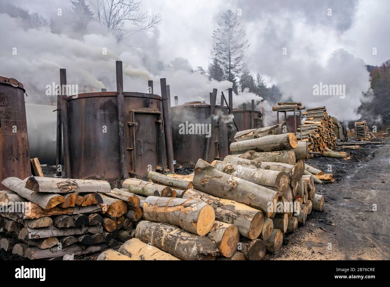 Vecchie tortine di fumo per produzione di carbone. Bieszczady, Carpazi orientali, Polonia, Europa Foto Stock