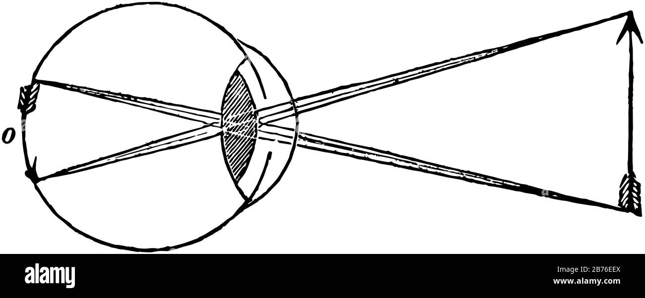 Questa illustrazione rappresenta l'inversione degli Oggetti da parte dell'occhio, il disegno a linea vintage o l'illustrazione dell'incisione. Illustrazione Vettoriale