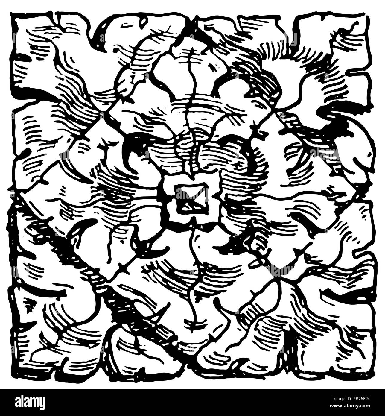 Fiore, a volte chiamato l'Unione rosa, tradizionale emblema araldico floreale, Rosa d'Inghilterra, disegno linea vintage o illustrazione di incisione. Illustrazione Vettoriale