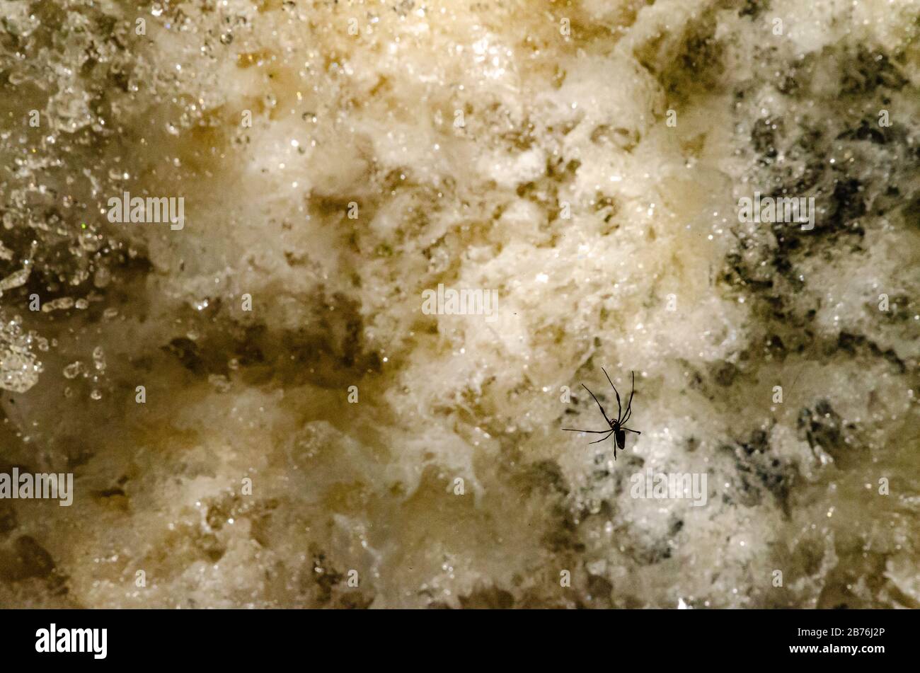 Primo piano di acque fluviali violente e temprative con una grande sagoma a ragno appesa nell'aria Foto Stock