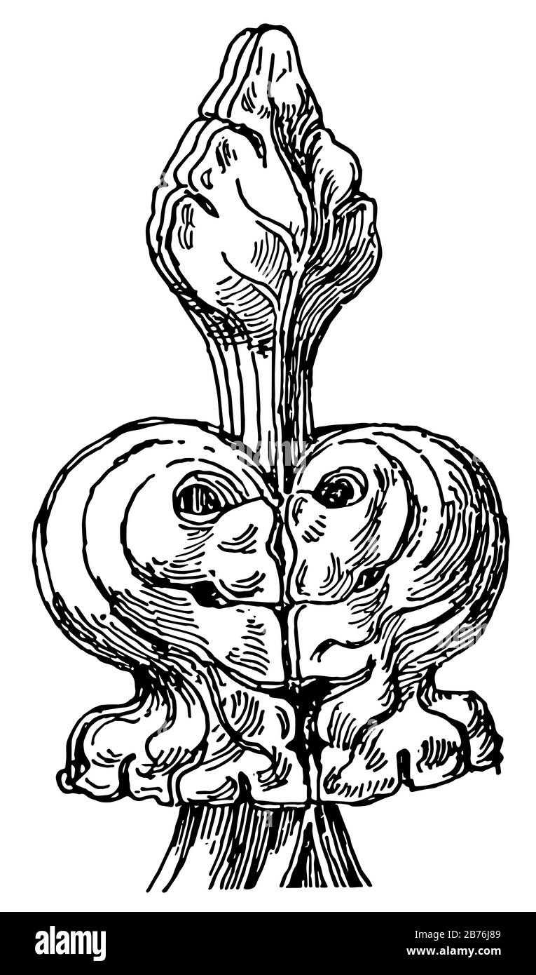 Finiale, top o estremità, pali, aste, tenda, disegno linea vintage o illustrazione incisione. Illustrazione Vettoriale