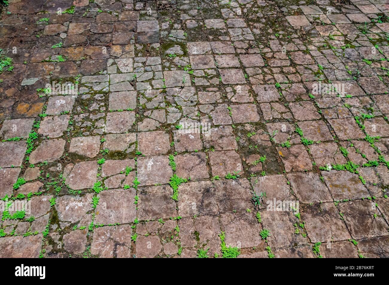 Tessitura di antiche piastrelle sul pavimento con erba che cresce in betweeen in rovine di San Ignacio, Misiones, Argentina Foto Stock