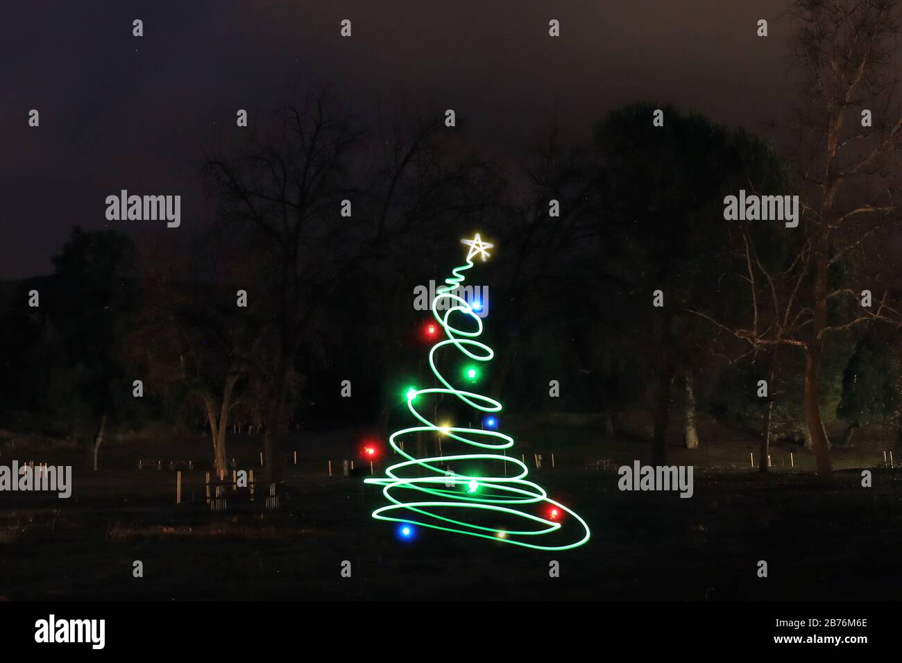 Albero di Natale dipinto di luce All'Aperto nella foresta Foto Stock