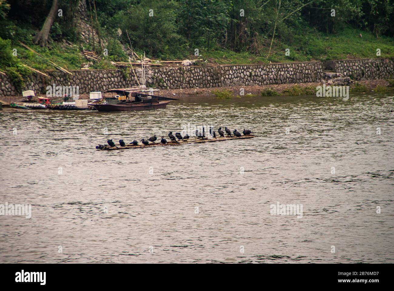 Guilin, Cina - 10 maggio 2010: Lungo il fiume li. Flimsy zattera riempimento di uccelli cormorani neri vicino barca di pescatore lungo pietra costa rinforzata con g Foto Stock