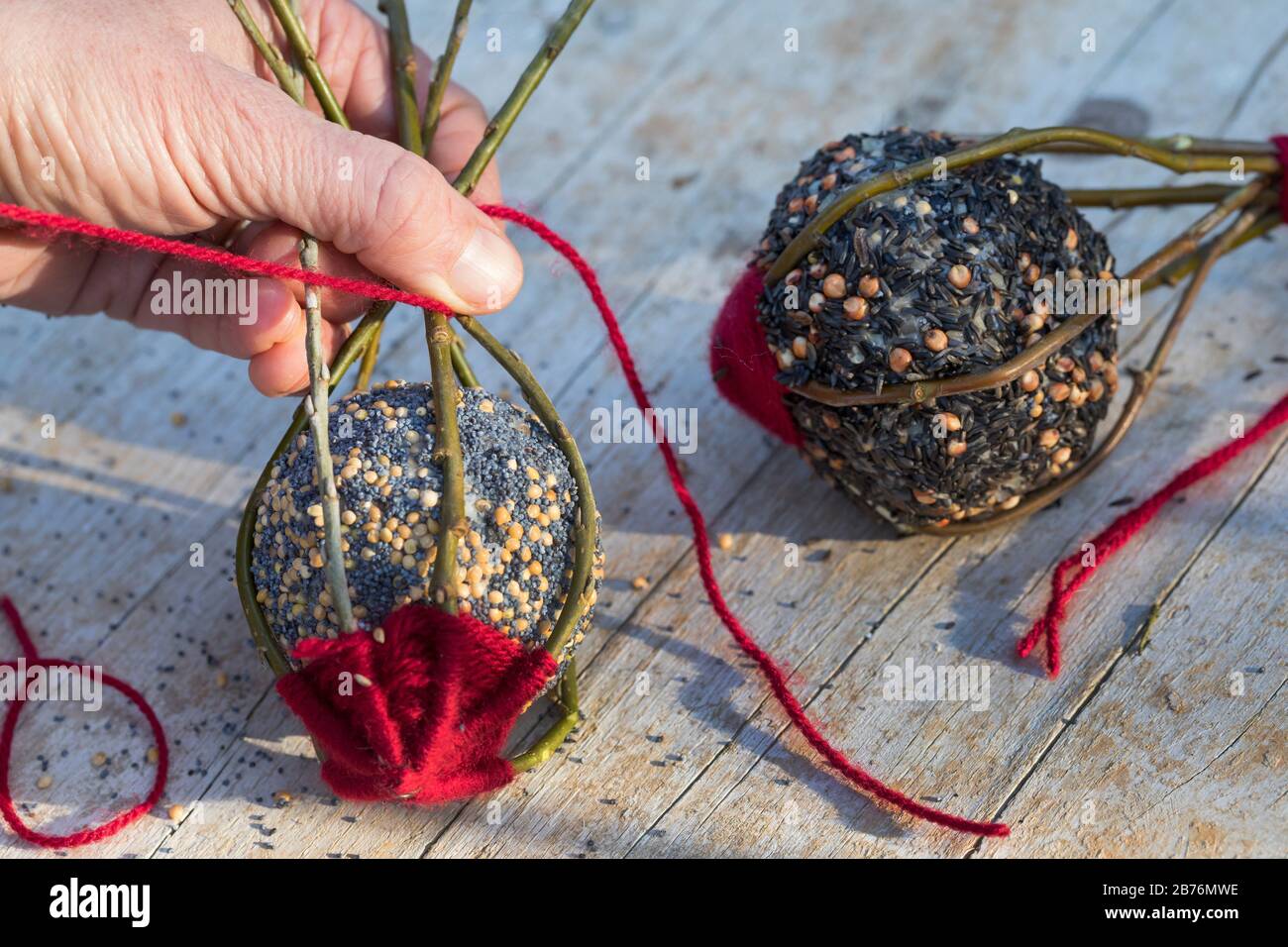 Fare un custode vor una palla grasso con ramoscelli di salice, lana e filo, serie foto 9/10, Germania Foto Stock