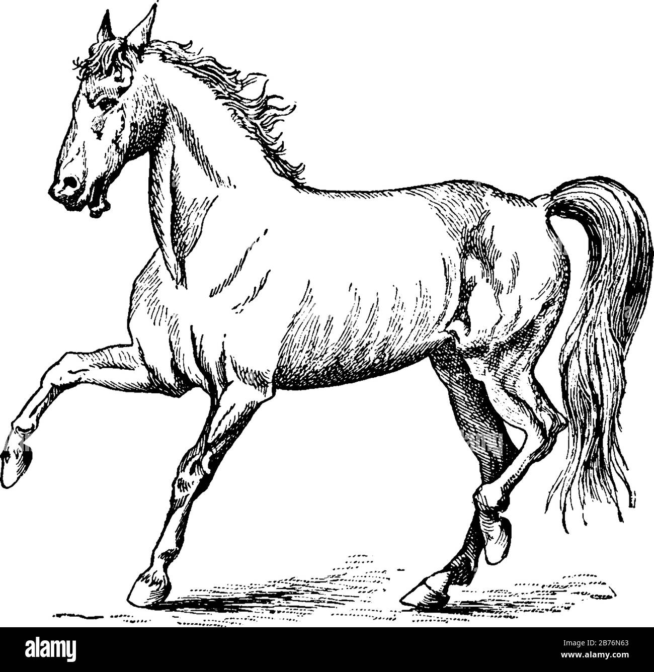 Una barca corre sul vapore può essere visto avanzare verso la riva del fiume. Ci sono anche persone che vedono di fronte a un enorme edificio sul lato di Illustrazione Vettoriale