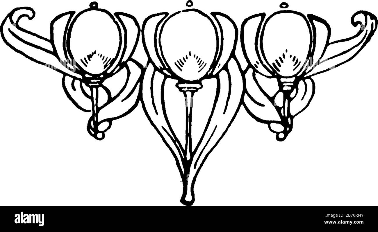 Fioriture floreali hanno tre fiori con foglie, linea vintage disegno o incisione. Illustrazione Vettoriale