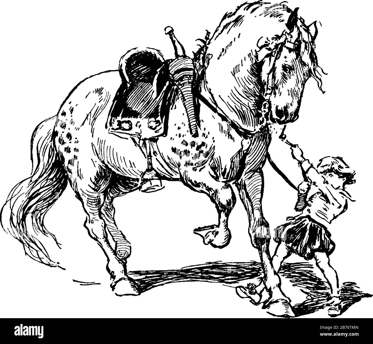 L'immagine raffigura un ragazzo che si trova a terra e che tiene i regni di un grande cavallo, disegno di linea vintage o illustrazione dell'incisione. Illustrazione Vettoriale