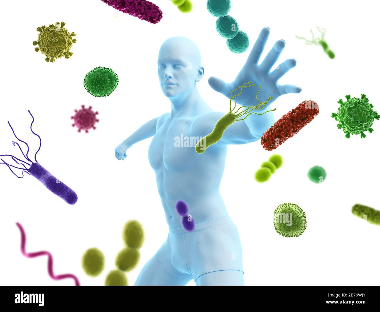 Sistema immunitario, illustrazione concettuale del computer. Foto Stock